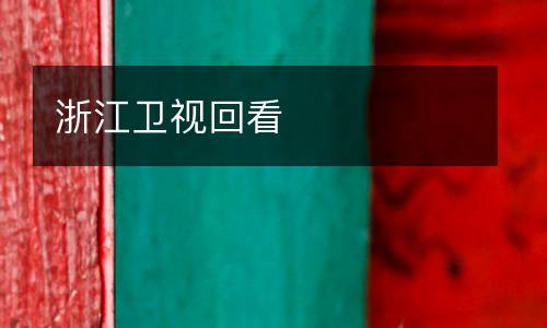 浙江卫视回看
