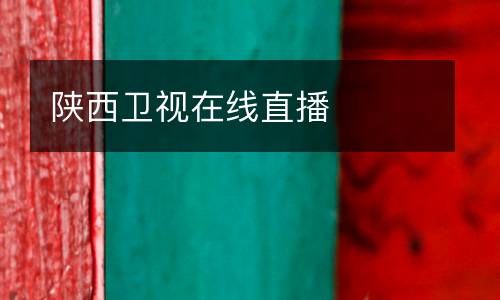 陕西卫视在线直播